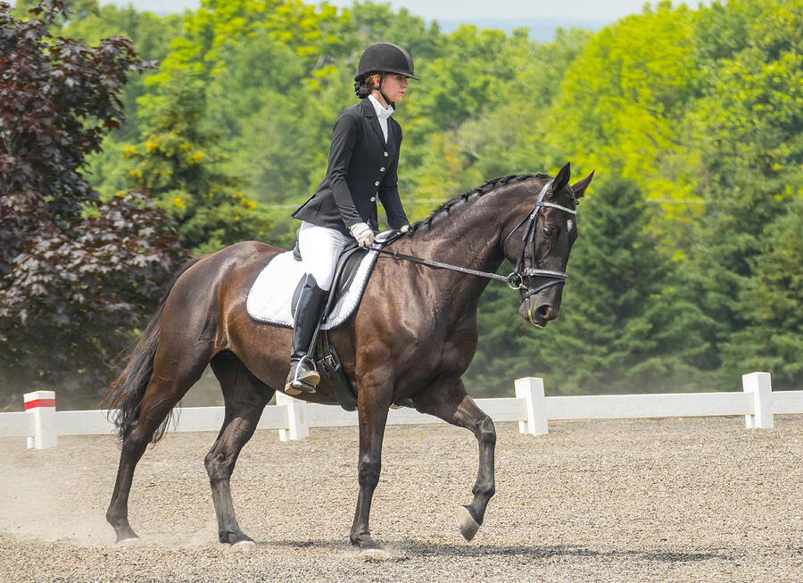 Skilled rider on magnificent steed in dressage exhibition #3 Photograph by JamesBrey Skilled rider on magnificent steed in dressage exhibition #3 Photograph by JamesBrey