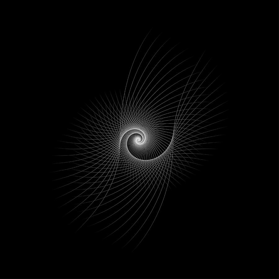 Snail shape white vector image on black background. Digital Art by ...