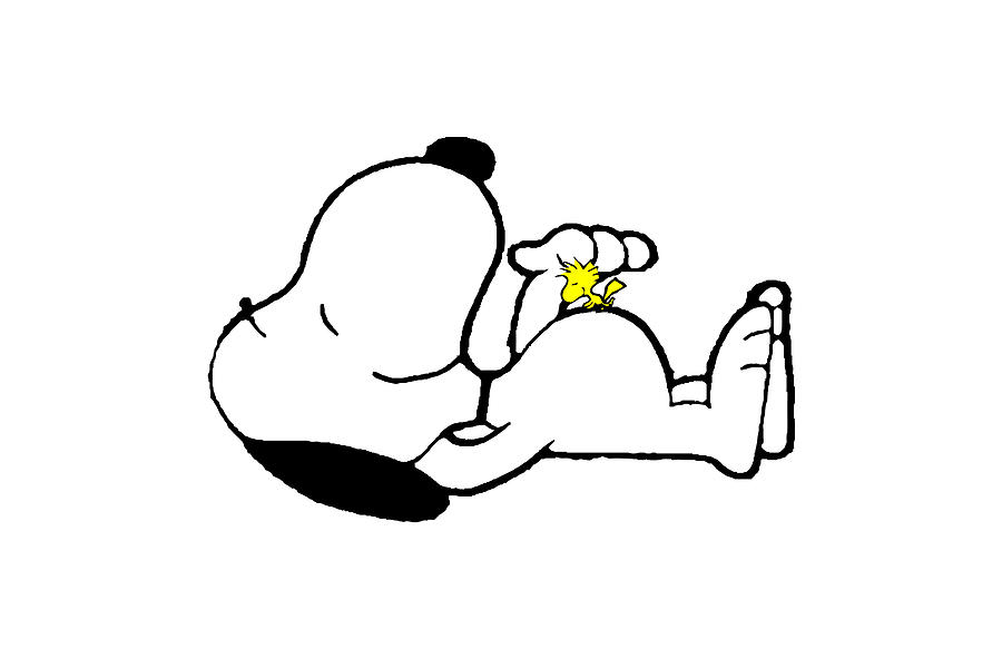 NYY <3  Snoopy pictures, Snoopy images, Snoopy funny