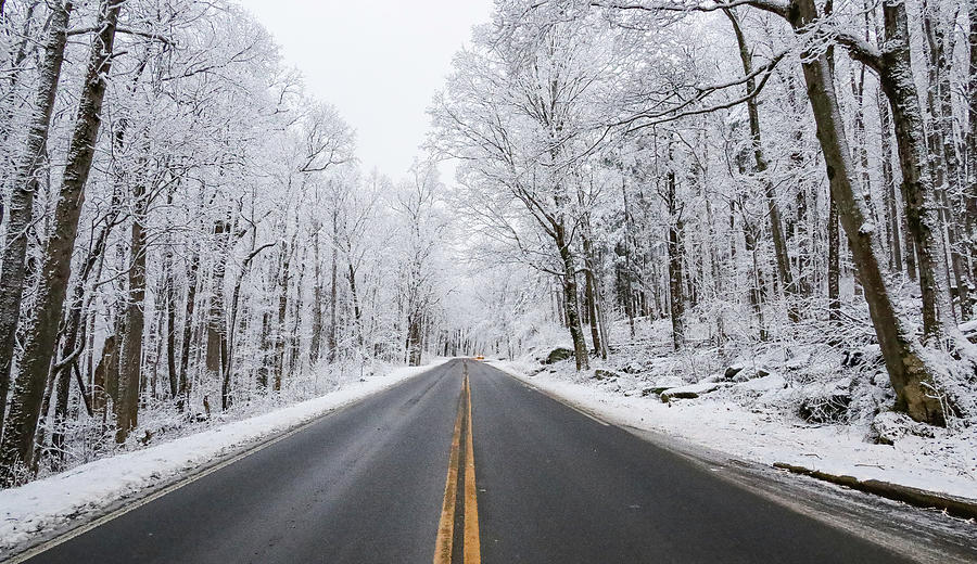 Snow in the Smokies Photograph by Melissa Traub - Fine Art America