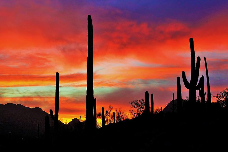 Sonoran Sunset #3 Photograph by Dennis Boyd