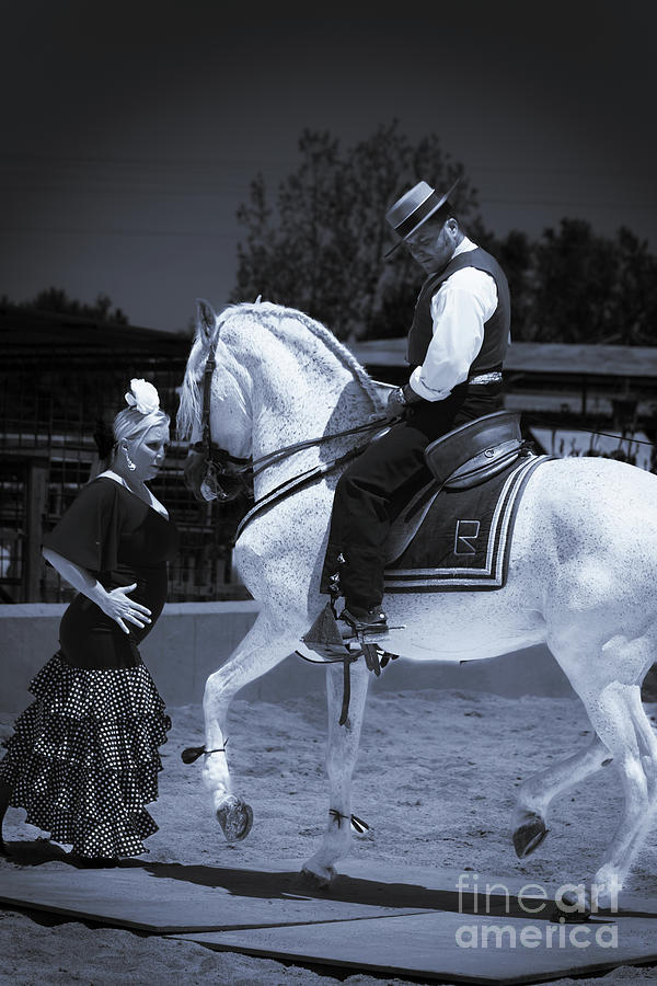 Spanish Flamenco dancing with horse and female dancer #3 Photograph by Peter Noyce