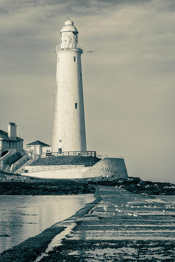 St. Marys Lighthouse #3 Photograph by Francisco Ruiz Navas