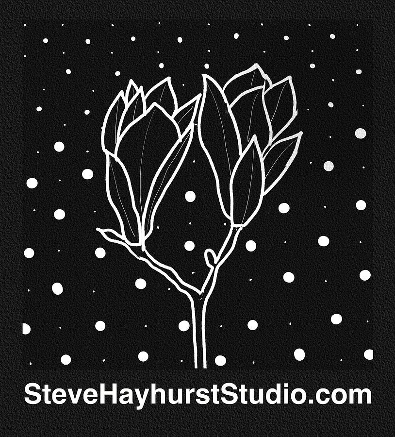 SteveHayhurstStudio.com #3 Digital Art by Steve Hayhurst