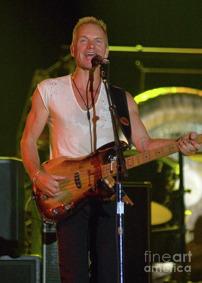 The Police Photograph - Sting Performing with The Police at Bonnaroo Music Festival #3 by David Oppenheimer