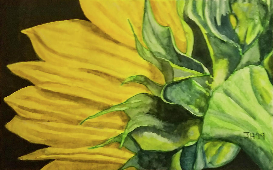 Sunflower #3 Painting by Jean Haynes