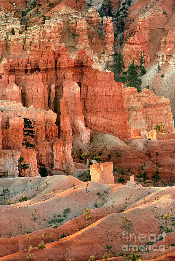 Sunrise At Bryce Canyon National Park Utah #3 Photograph by Dave Welling