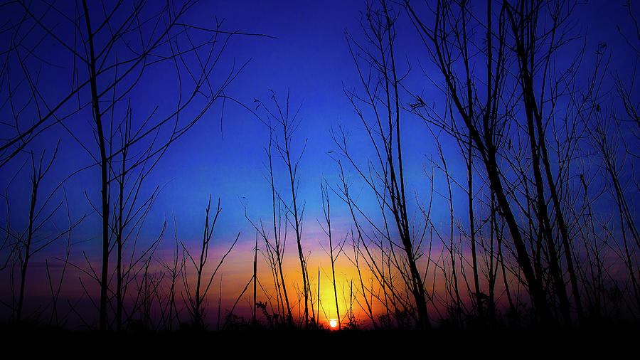Sunrise in Lockport, Illinois #3 Photograph by David Morehead