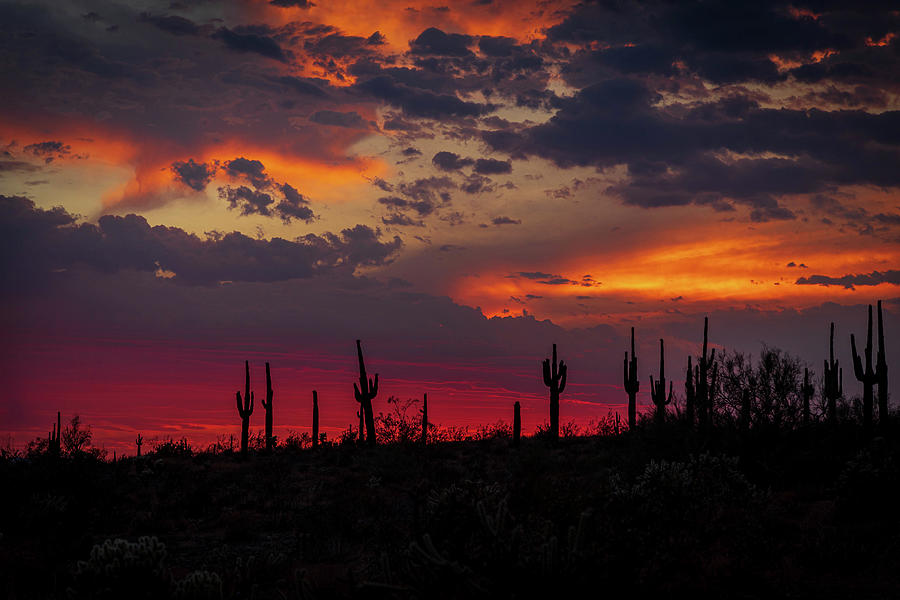 Sunset #3 Photograph by David Barile