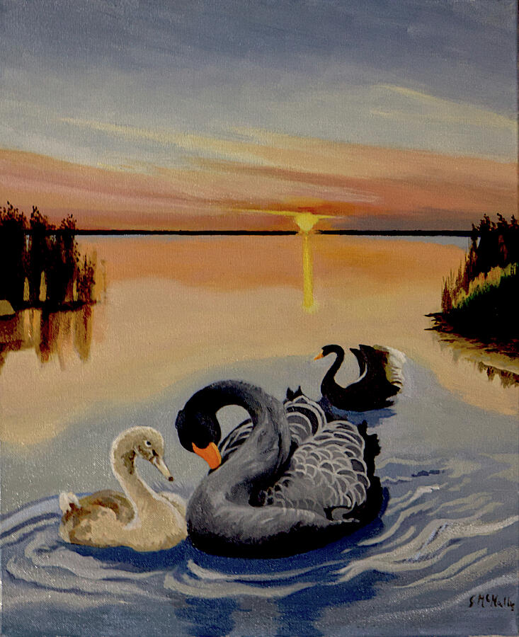 3 Swans Painting by Susan McNally