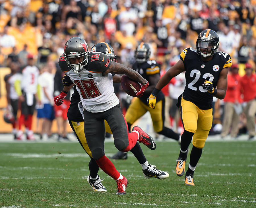 Tampa Bay Buccaneers v Pittsburgh Steelers #3 Photograph by George Gojkovich