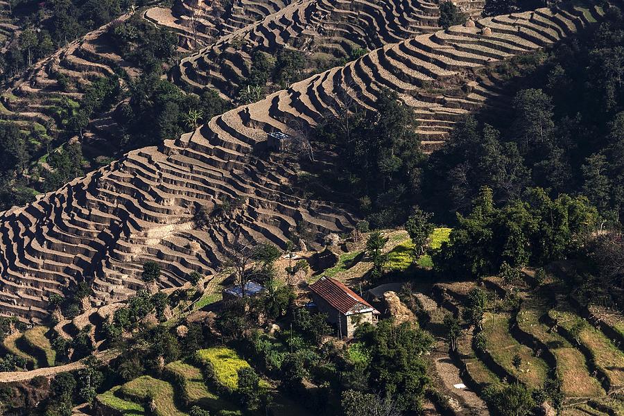 Terrace cultivation, field terraces at Nagarkot, Nepal #3 Photograph by Harry Laub