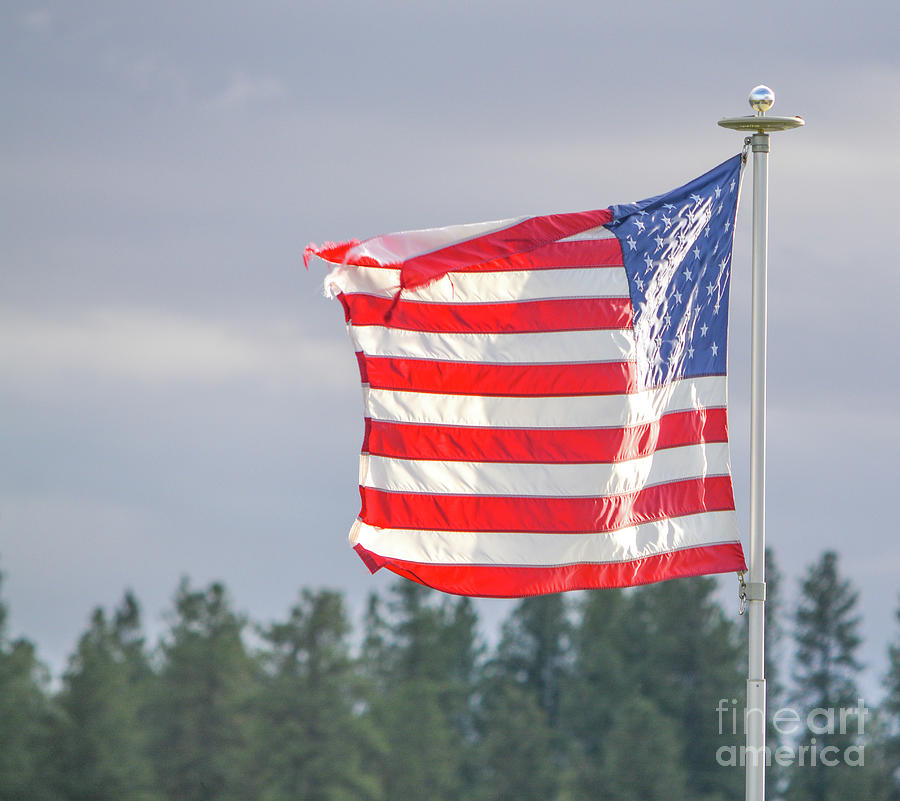#3 The American Flag Flying Over Williams Lake In Cheney, Spokane County, Washington Photograph