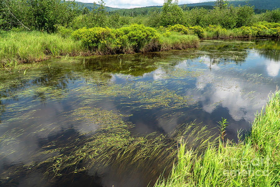 The Blackwater River meanders through wetlands at Canaan Valley  #3 Photograph by William Kuta