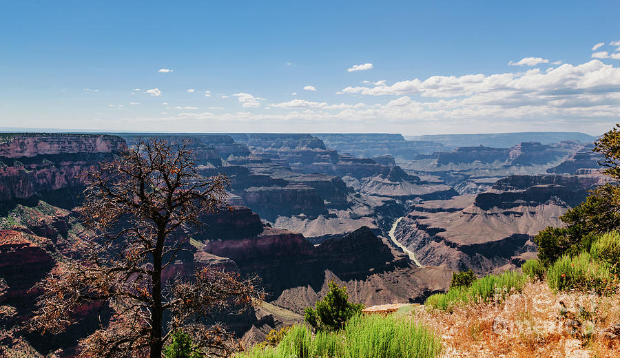 The Grand Canyon landscape in Arizona, USA. #3 Photograph by Michal Bednarek