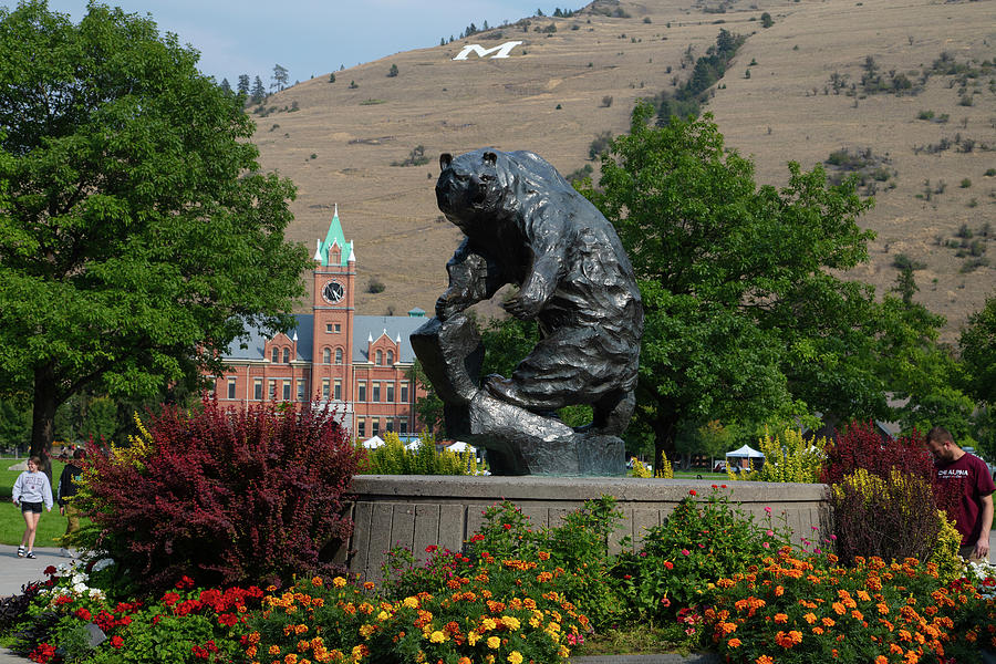 The Grizzly statue at the University of Montana - Grand Griz #3 Photograph by Eldon McGraw