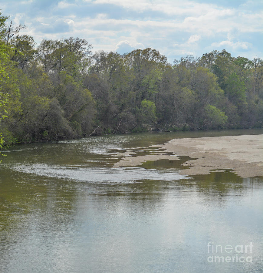 #3 The Homochitto River flowing peacefully through the forest in ...