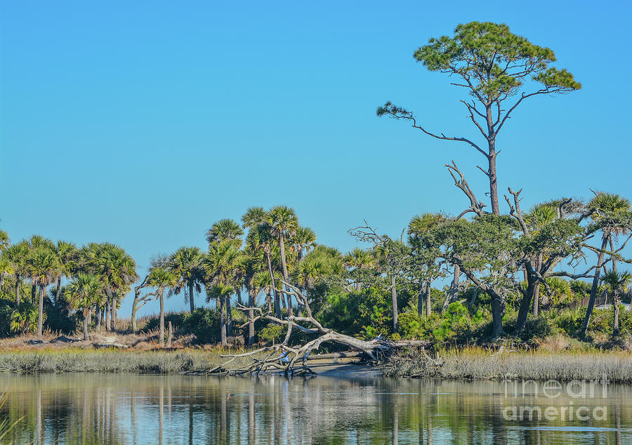 The Lagoon On Hunting Island. On The Atlantic Ocean, Beaufort County, South Carolina Photograph