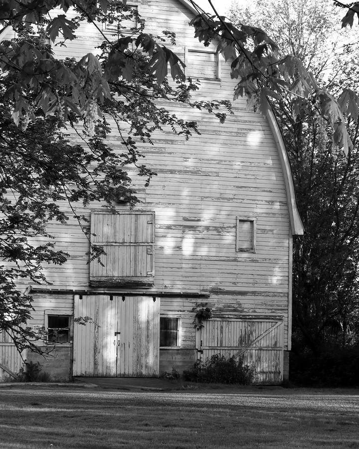 Old Barn And Maple Photograph by Iina Van Lawick