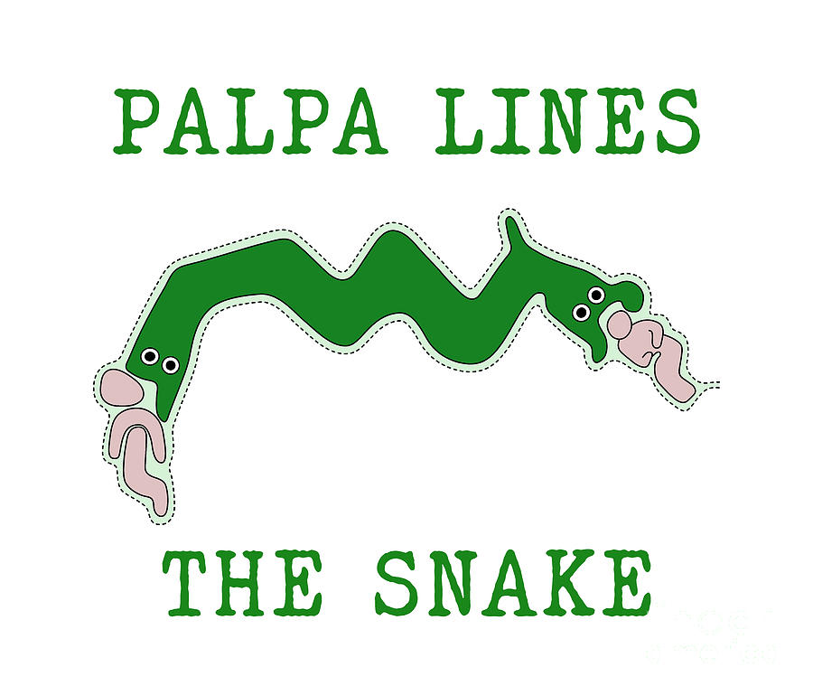 The Snake From Palpa Drawing