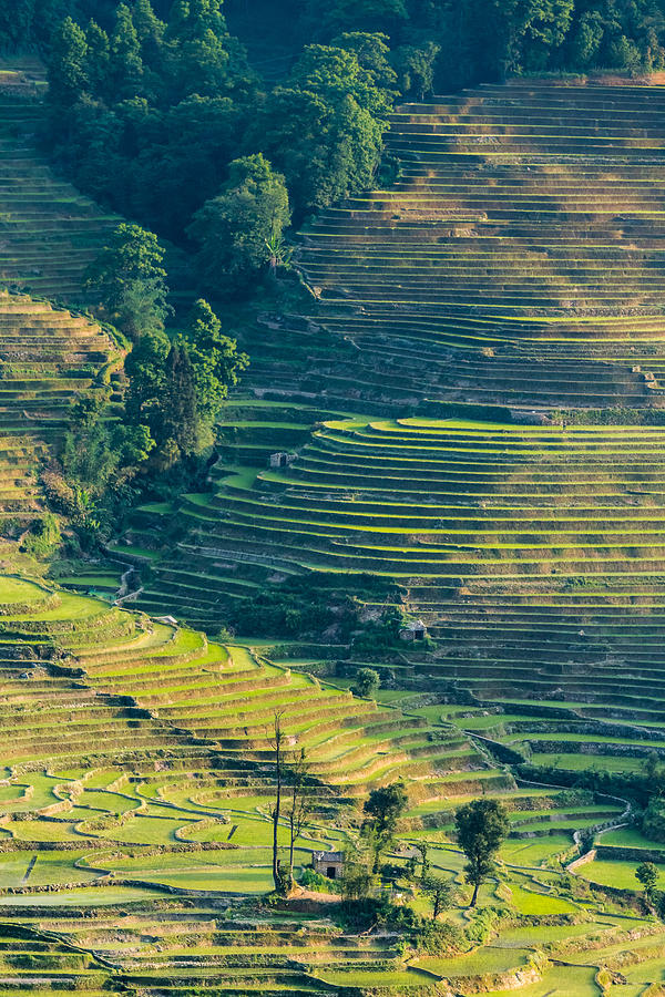 The terraced fields at spring time #3 Photograph by Zhouyousifang