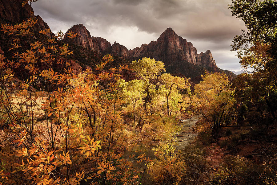 Zion National Park Photograph - The Watchman, Zion National Park #3 by Peter OReilly