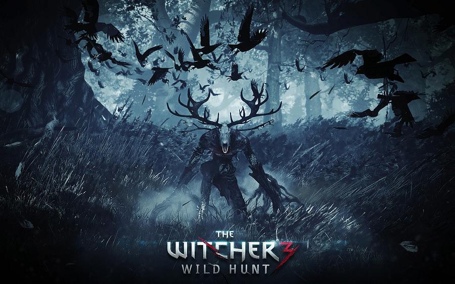 the witcher 3 wild hunt digital art by wilma young fine art america