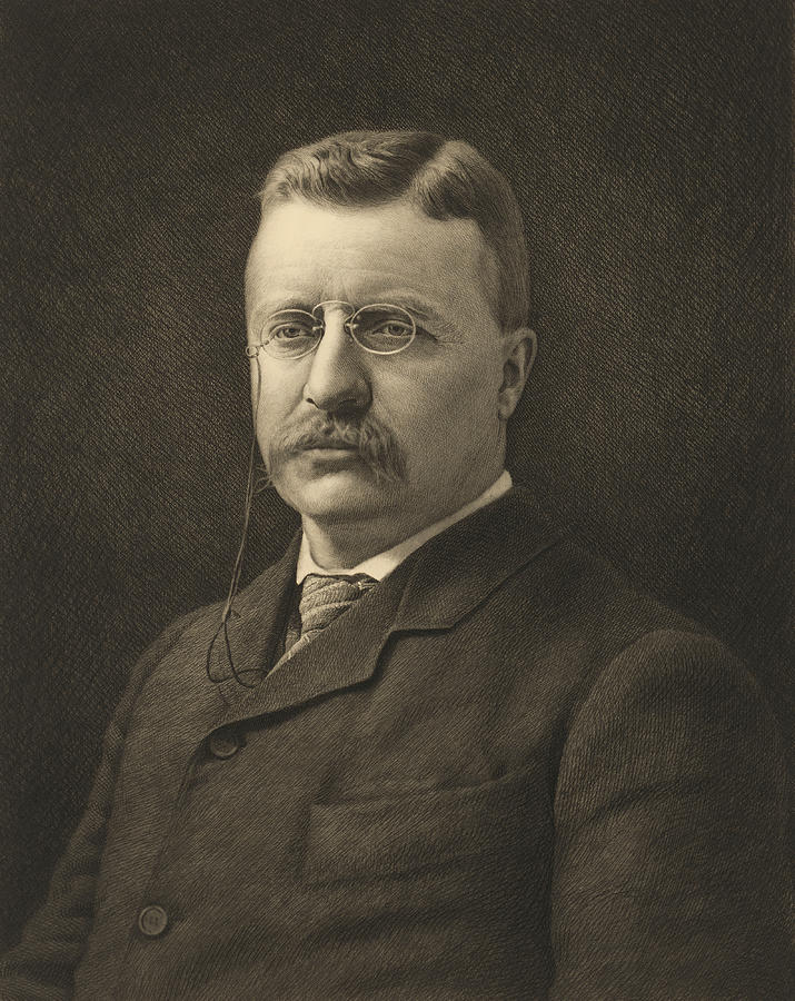 Theodore Roosevelt Drawing by Jacques Reich - Fine Art America