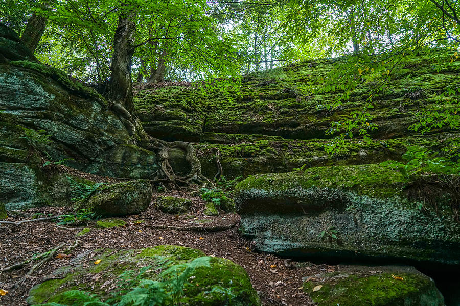 Forest Photograph - Thompson Ledges Park by Ric Schafer Forest Photograph - Thompson Ledges Park by Ric Schafer