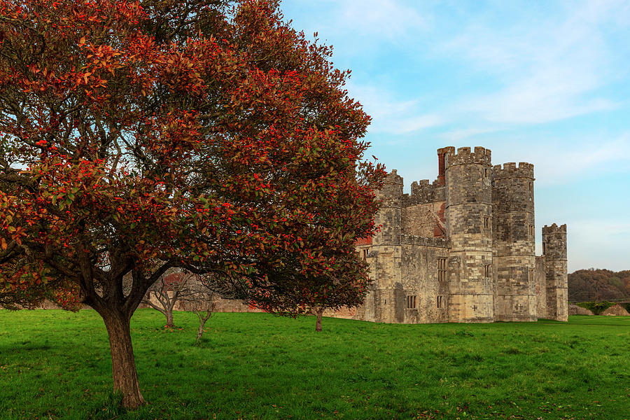 Titchfield Abbey - England #3 Photograph by Joana Kruse