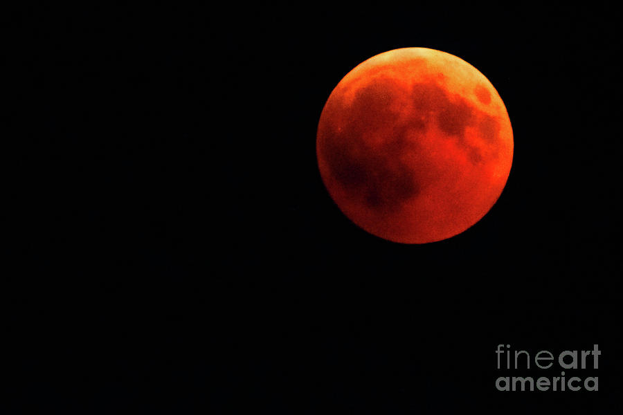Total red lunar eclipse #3 Photograph by Benny Marty