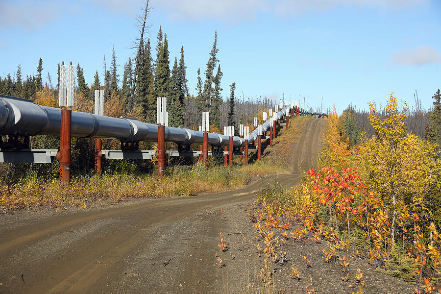 Trans-Alaska Pipeline and Dalton Highway #3 Photograph by Rainer Grosskopf