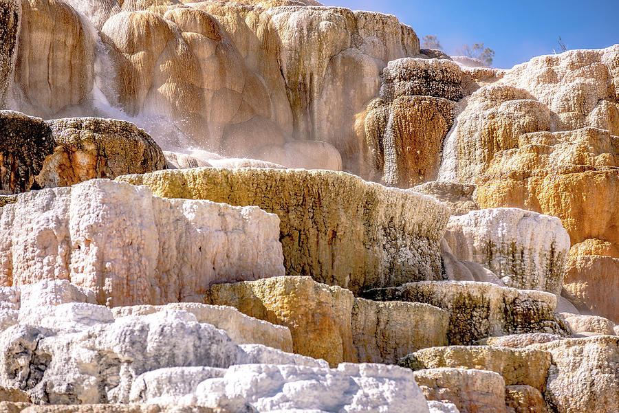 Travertine Terraces, Mammoth Hot Springs, Yellowstone #3 Photograph by Alex Grichenko