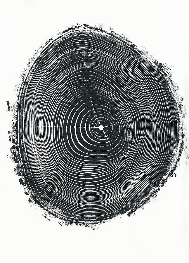 Tree Ring relief print of an Ash Tree cross-section. Mixed Media by ...