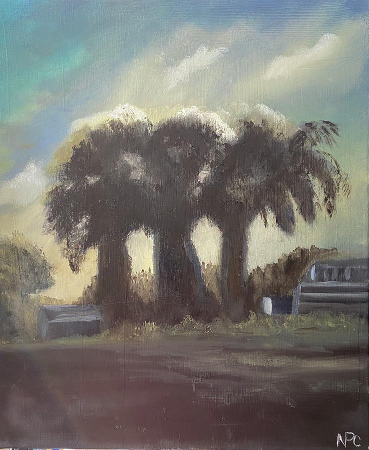 3 Trees in the Dawn Painting by Naomi Cooper