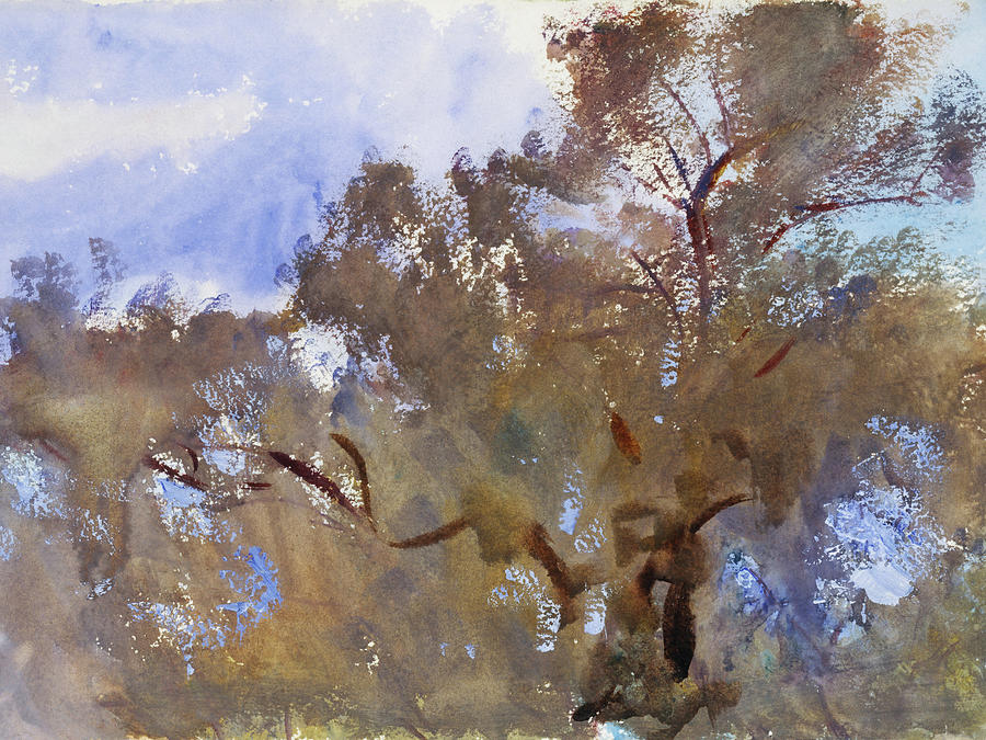 John Singer Sargent Painting - Treetops against Sky #5 by John Singer Sargent