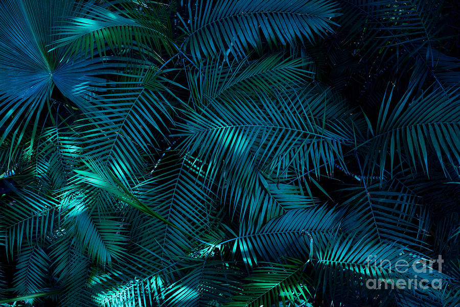 Tropical green leaves background Photograph by Wdnet Studio | Fine Art