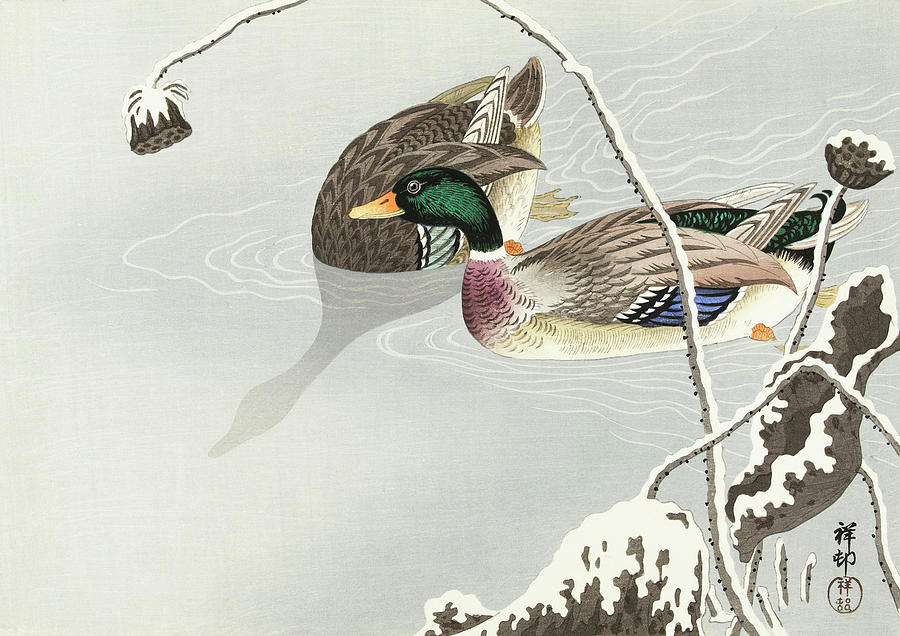 Two Mallards near a Snow-Covered Lotus #3 Painting by World Art Collective