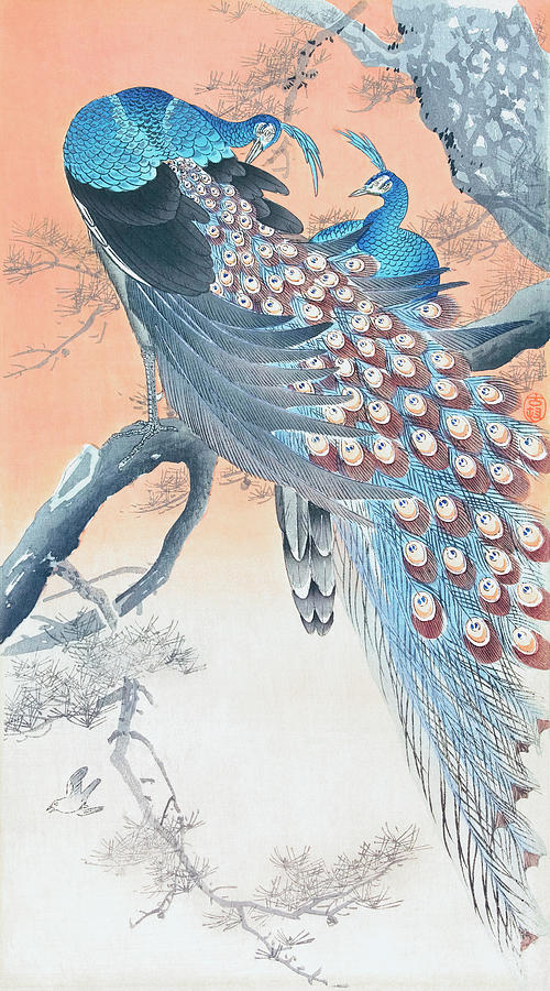Animal Painting - Two peacocks on tree branch by Ohara Koson  by Mango Art