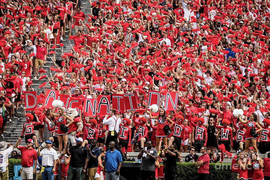 University of Georgia Football - Athens GA Photograph by The Photourist ...