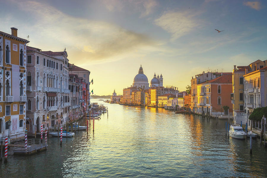 Venice grand canal, Santa Maria della Salute church Photograph by Stefano Orazzini
