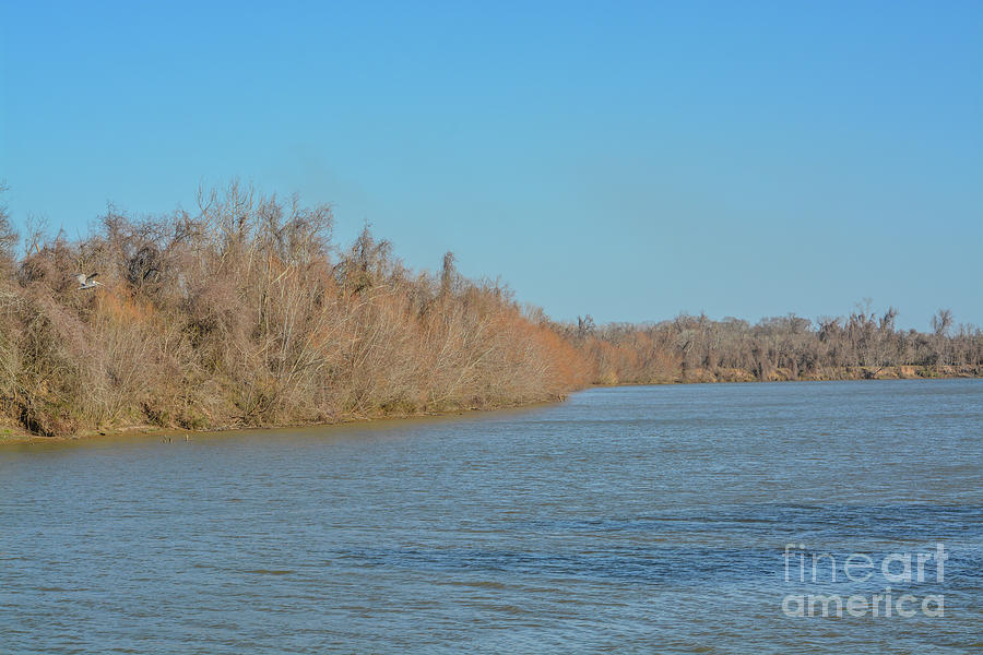 View of River San Bernard in Brazoria County, Texas #3 Photograph by ...