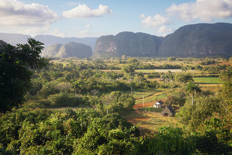 Vinales Pinar Del Rio Province Cuba Photograph by Tristan Quevilly Vinales Pinar Del Rio Province Cuba Photograph by Tristan Quevilly