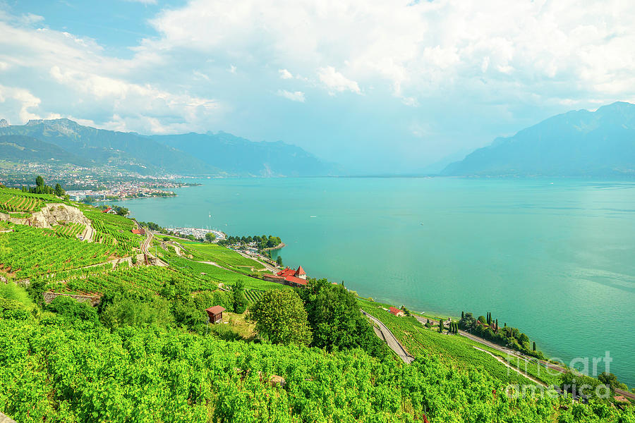 Vineyards of Lavaux #3 Photograph by Benny Marty