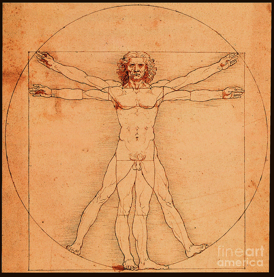 Metaphysical Drawing - Vitruvian Man #3 by Leonardo Da Vinci