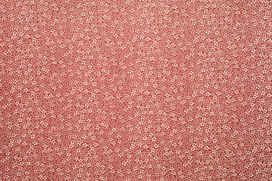 Washi paper texture background #3 Photograph by Katsumi Murouchi