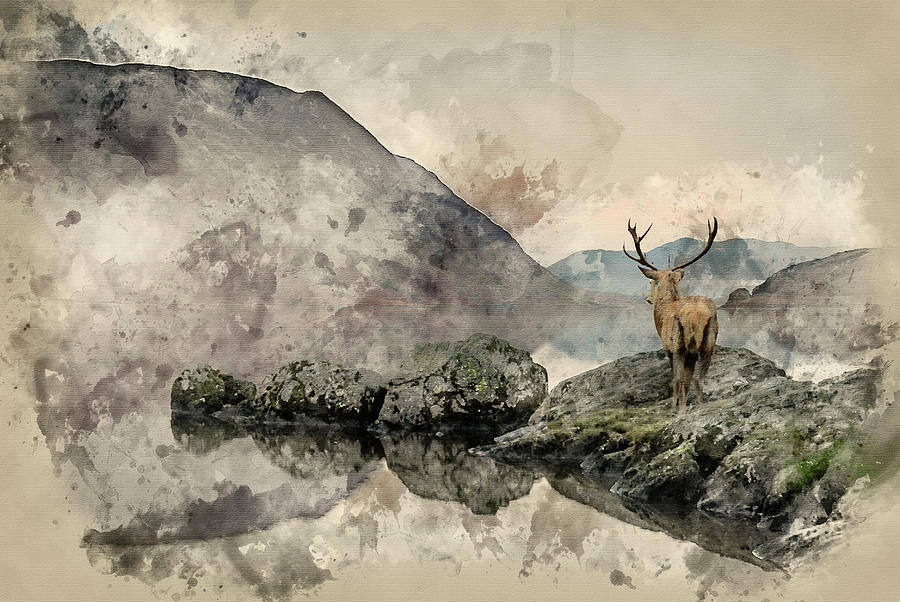 Watercolor Painting Of Stunning Powerful Red Deer Stag Looks Out Digital Art