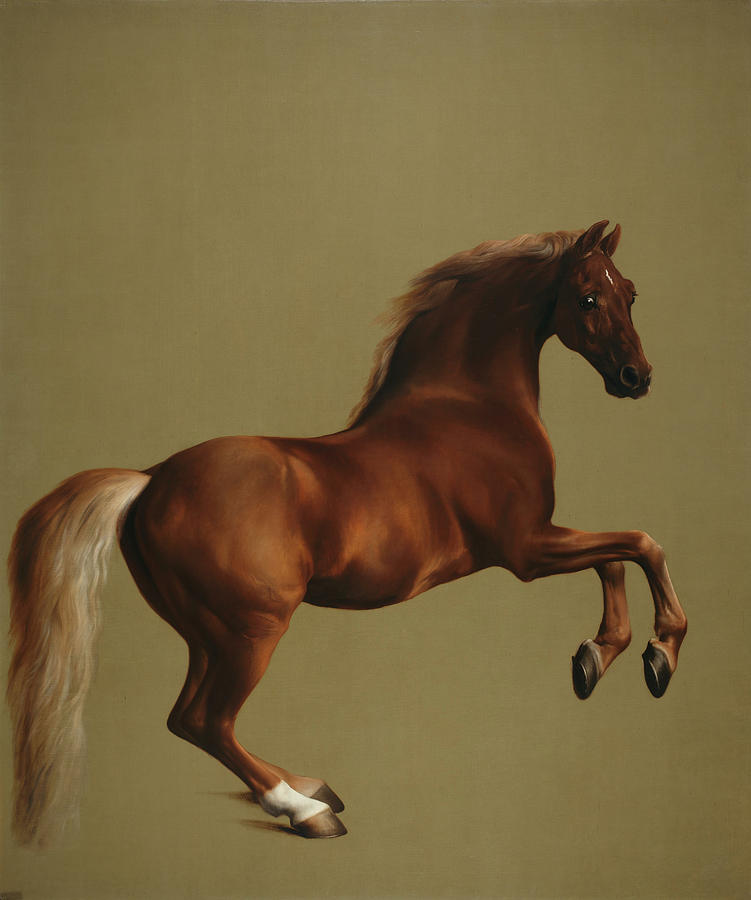 Horse Painting - Whistlejacket #7 by George Stubbs