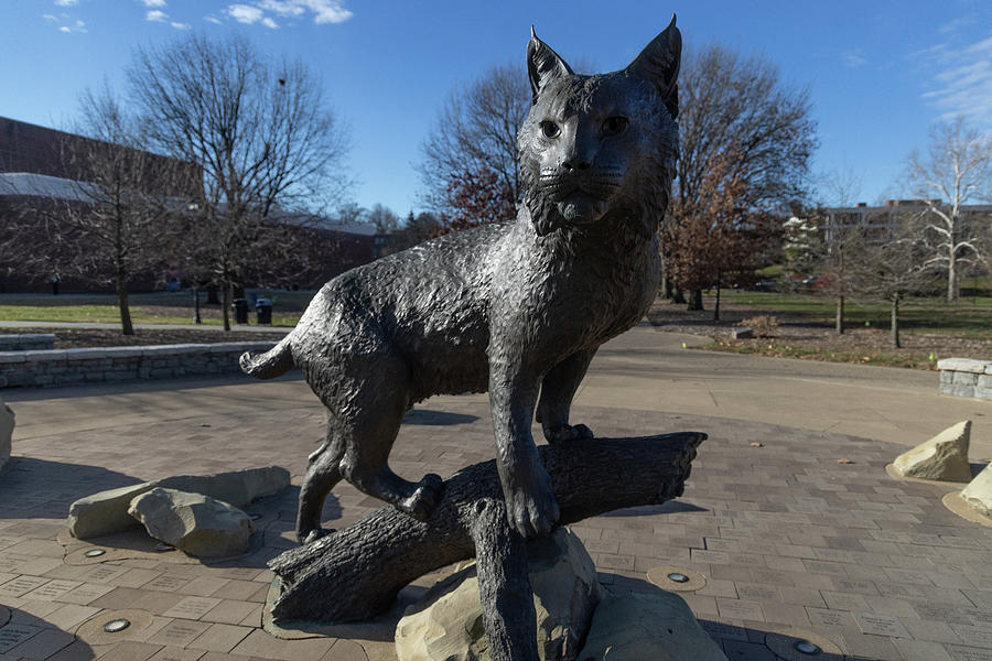 Wildcat statue at the University of Kentucky #3 Photograph by Eldon McGraw