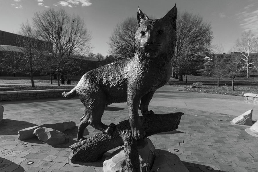 Wildcat statue at the University of Kentucky in black and white #3 Photograph by Eldon McGraw
